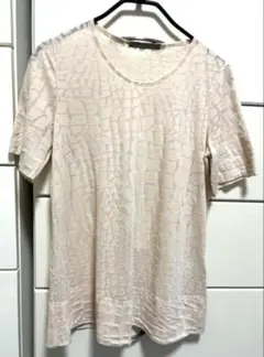セオリーリュクス　シースルー　カットソー Tシャツ