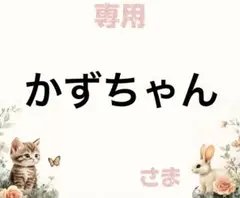 専用