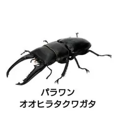 Item thumbnail for item d2a7cf82-3f8d-4570-ae1d-0911148938ce