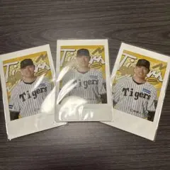 原口文仁　ラッフルクジ　阪神タイガース