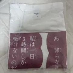 クレヨンしんちゃん ピンクのラメのTシャツ ぶりぶりざえもんの名言