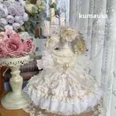 番号2360
