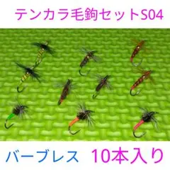 テンカラ毛鉤セットS04 10本入り 完成毛バリ