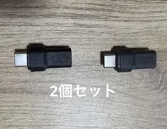 CIO USB-Cマグネット変換アダプタ 2個 ストレート