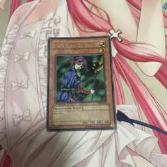遊戯王　聖なる魔術師　旧アジア版