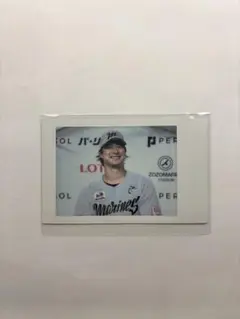 千葉ロッテマリーンズ 藤岡裕大 シークレットチェキ チェキ NCE