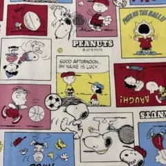 約縦48×50㎝　SNOOPY オックス　生地　はぎれ