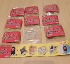 にょっきりどっきりマグネット