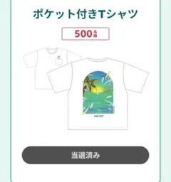 【匿名配送】チルアウトCHILLOUT オーバーサイズTシャツSサイズ 男女兼用