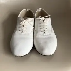 Item thumbnail for item c0798868-95f2-4438-be5d-1718d0e17988