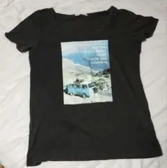 LOWRYS FARM レディース プリントTシャツ Lサイズ 綿100%