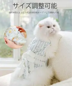 Item thumbnail for item 955f1750-eb61-4315-a855-7e421c27c206