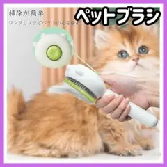 Item thumbnail for item 25ba5cd7-50a8-4fa6-bf24-56c4b1a9529c