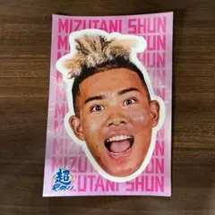 北海道日本ハムファイターズ 水谷瞬 ファイターズ超夏祭りステッカー 限定