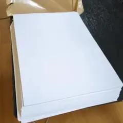 Item thumbnail for item 7e586e6a-c939-4912-a7b6-608ca559dadb