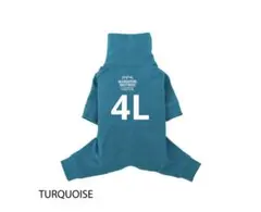 Item thumbnail for item 76b3d2c2-cc98-4e9f-86dd-791b00068c58