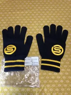 Item thumbnail for item 84d204b6-103d-4042-b474-dd5e759ed31d