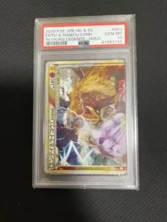 【貴重】エンテイ＆ライコウレジェンド m99824728914_1.jpg?1756097326