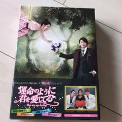 運命のように君を愛してる　　DVD-BOX1