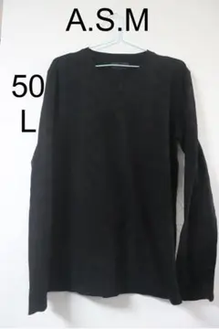 プロフ必読A.S.MブロックチェックVネックニットカットソーL良品