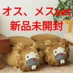 ポケモン　ビッパ　スツール　メスの姿　未使用品（写真は自宅のもの） ポケモンだいすきクラブ編集部【公式】 on X: 