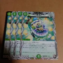 ベイbセガーレ　4枚