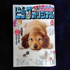 【最新号】ビッグコミックオリジナル　2025.8.20