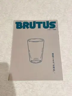 BRUTUS ブルータス　2013年6月1日号　尊敬できる日用品