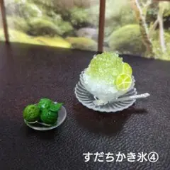 ミニチュアフード すだちかき氷④