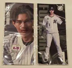 千葉ロッテマリーンズ 選手フォトシール