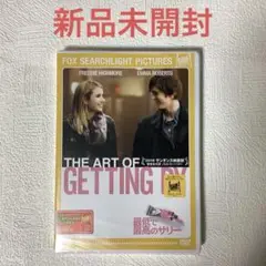 最低で最高のサリー('11米)