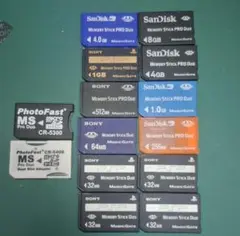 メモリースティック PRO Duo 32GB〜128GB