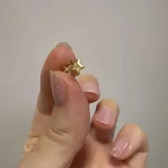 RIN ボディピアス凛　サージカルステンレス　16G スターピアス　おまけつき