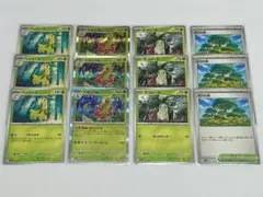 ポケモンカード　メガニウム　進化ライン　活力の森　他　12枚