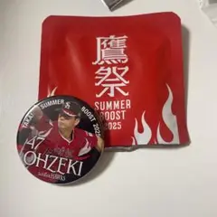 タカポイント 鷹祭 缶バッチ 大関
