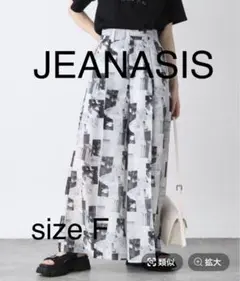 JEANASIS ガラカラーフォトプリントWP 黒系　フリー