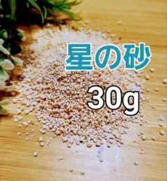 星の砂★30g