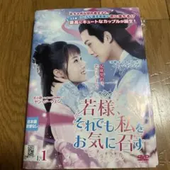 DVD 若様、それでも私をお気に召す 全11巻セット イエ・ションジア