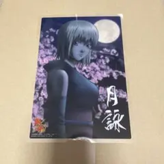 銀魂 クリアコレクションBIG ジャンボカードダス 月詠