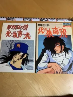 水島新司 直筆サイン色紙 野球狂の詩 北の狼南の虎 イラスト入り 浪曲版『原作・水島新司 野球狂の詩―北の狼・南の虎―』 | 河内家