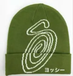 STUSSY 緑のスワールパターンニット帽
