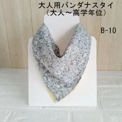 Item thumbnail for item 567afbc8-7182-4402-bf80-724a1615434e