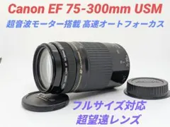 Item thumbnail for item 1be1ad7e-565e-4d76-a8db-7823c3f3db1b