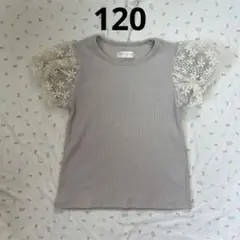 新品　Tシャツ　花柄オーガンジー袖　120