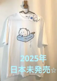 韓国限定 spao ナガノ 冬用 ルームウェア L パジャマ 部屋着 モコモコ 韓国限定 spao ナガノ 冬用 ルームウェア パジャマ 部屋着 モコモコ