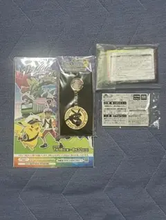 JR ポケモンメガスタンプラリー2025(4点)