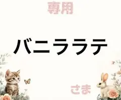 専用