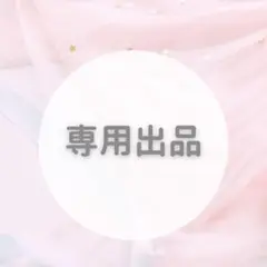 専用出品