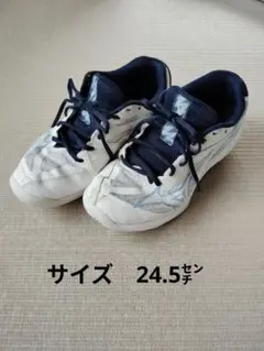 Item thumbnail for item ca63fcf3-ff49-4f73-9039-568c0235e29e