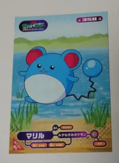任天堂　ポケモン　ポケットモンスター　ブロマイド　マリル
